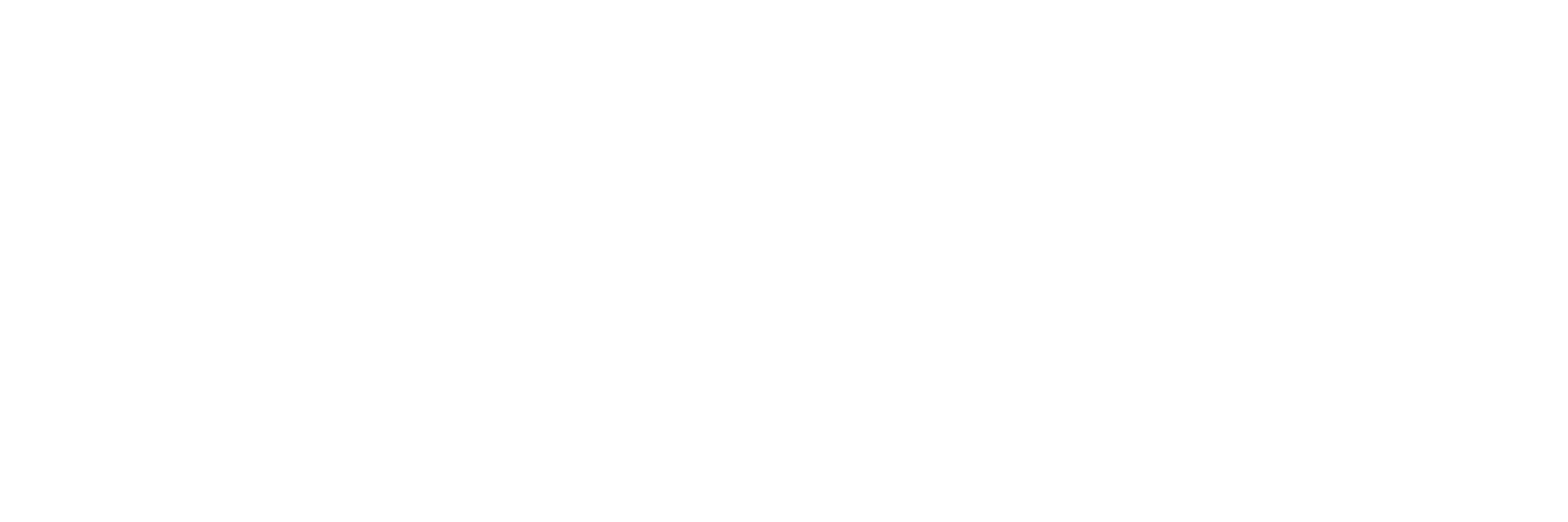 RG Insurance